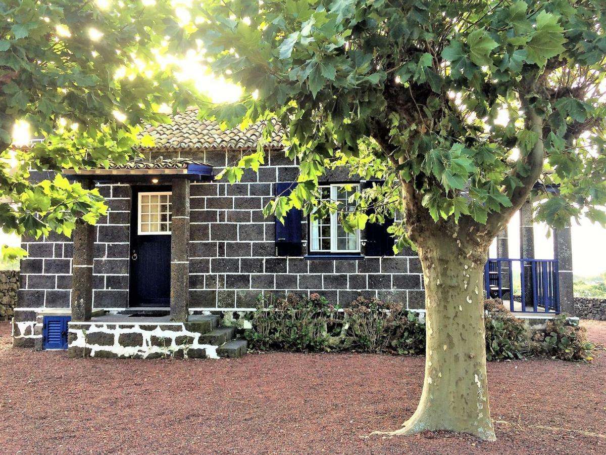 Casa Da Canada Ribeira Grande Exterior photo